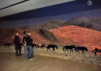 photo de Mongolie géante 12 m² décor exposition Gengis Khan au Sabanci Museum d'Istanbul